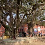 Photo taken by Wendy P