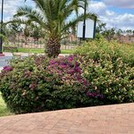 Photo taken by Patricia O