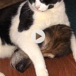 Photo taken by Allyson A