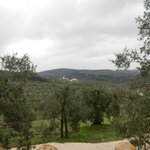 landscape around Tuscany vineyards | Photo taken by Dean C