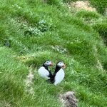 Photo taken by Amy W