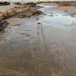 Photo taken by Patrice G