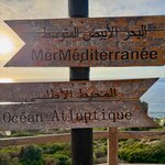 Photo taken by Tony F