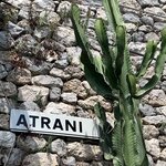 Photo taken by Sandra B