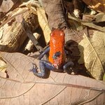 Photo taken by Susan D