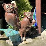 Photo taken by Edit M