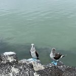 Photo taken by Kayla H