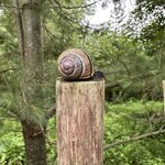 Photo taken by Jill B