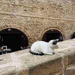 Photo taken by Victoria L