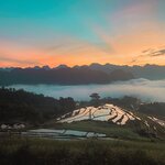 Photo taken by Molly P