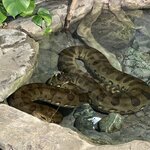 Photo taken by Nicholas P