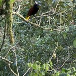 Photo taken by Steven C