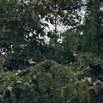 Photo taken by Rob C