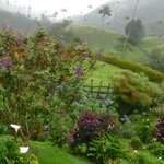 Photo taken by Brett F