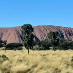 Photo taken by Judy H