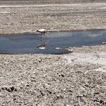 Photo taken by Eric H