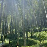 Photo taken by PADMABEN P