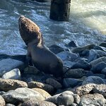 Photo taken by lynn o