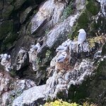 Photo taken by Eliza M