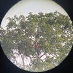 Photo taken by martin M