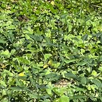 Photo taken by Sarah C