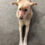 Photo taken by Ellie t