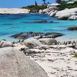 Photo taken by Yin Ling K