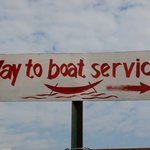 Photo taken by Peter S