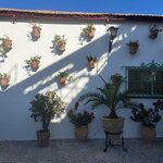 Photo taken by Ellyn A