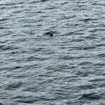 Photo taken by Gary W