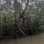 Photo taken by Anna L