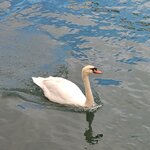 Photo taken by Graham H