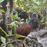 Photo taken by Julie S