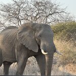 Photo taken by Glicelda B