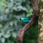 Photo taken by Dawne D