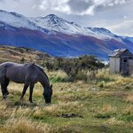 Photo taken by Devon B