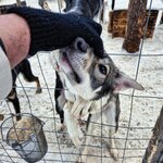 Photo taken by Caitlin P