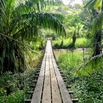 Photo taken by Brett F