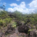 Photo taken by Darla D