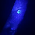 Photo taken by Chris G