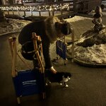 Photo taken by Anthony D