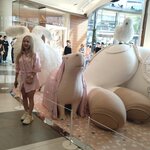 Photo taken by Janice D