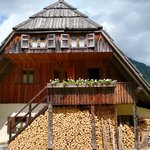 Photo taken by Janis R