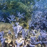 Photo taken by Dixie W