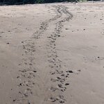 Photo taken by Linda P