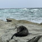 Photo taken by Lisa S