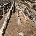 Photo taken by Kristi L