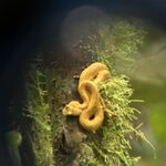 Photo taken by JULIE M