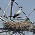 Photo taken by Doug P