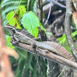 Photo taken by Samantha S